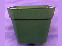3" Square Green Pot